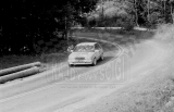 10. Andrzej Koper i Krzysztof Gęborys - Renault 11 Turbo.