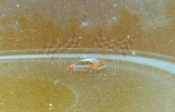 5. Marian Bublewicz i Ryszard Żyszkowski - Ford Sierra Cosworth 