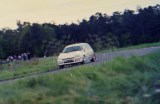 13. Bogdan Herink - Renault Clio Williams. 