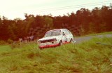 15. Toni Bonczek - Ford Fiesta. 