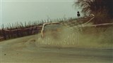 012. Michał Mankiewicz i Jakub Szewczyk - Fiat Punto.  