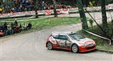 10. Mariusz Pelikański i Daniel Dymurski - Peugeot 206 S1600.