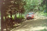 50. Janusz Kulig i Jarosław Baran - Ford Focus WRC.