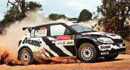 Skoda Fabia S2000.