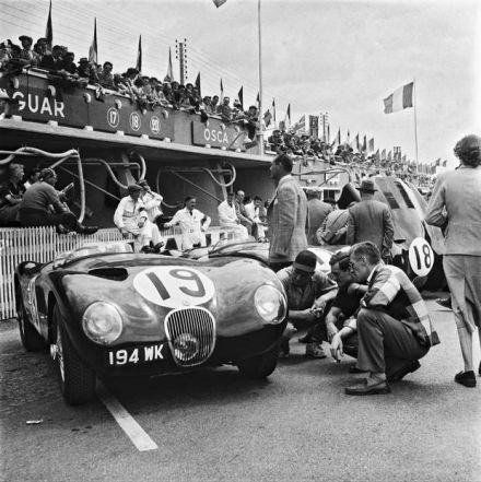 Peter Whitehead i Ian Stewart – Jaguar C-type.