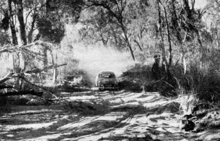 Redex Trial - 1954r