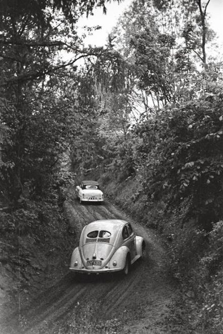25 International Österreichische Alpenfahrt. 1954r