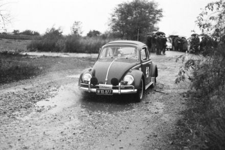 VW Beetle
