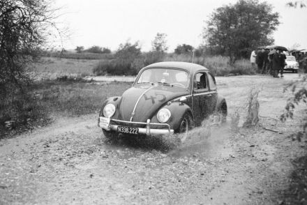 VW Beetle