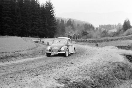 VW garbus