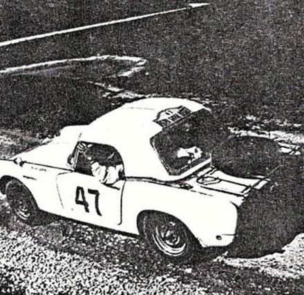 Works Rally Cars