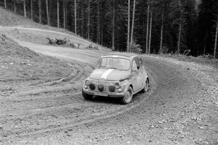 Lieskonig – Steyr Puch 650 TR.