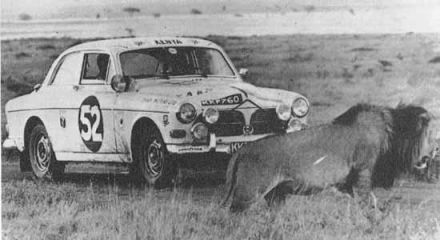 13 Rajd Safari