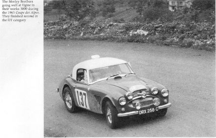 Donald Morley i Erle Morley – Austin Healey 3000.