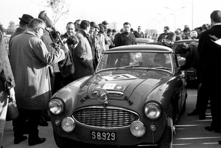 Austin Healey