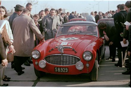 Austin Healey