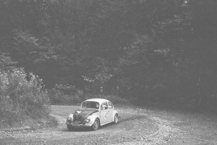 VW garbus
