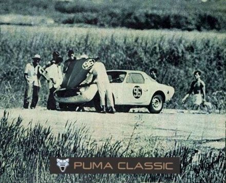 Norman Casari – Puma.