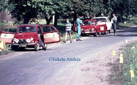 Jerzy Borowicz i Włodzimierz Groblewski, Istvan Mester i Dezsö Kiss – Steyr Puchy.