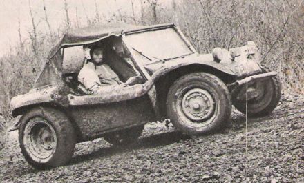 Ravinet na samochodzie Punch Buggy.