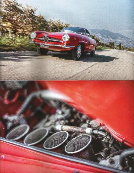Alfa Romeo Giulia SS.
