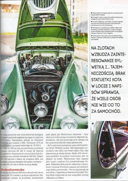 Jaguar XK 120