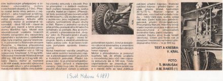 Porsche – Autocross
